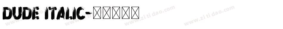 Dude Italic字体转换